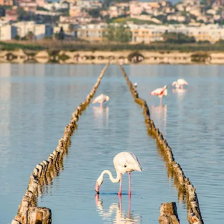 Two Flamingos - Loft In Historic Centre Lägenhet *